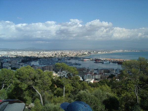 Palma Majorca