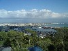 Palma