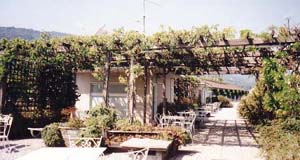 Roof Terrace of the Hotel Astoria