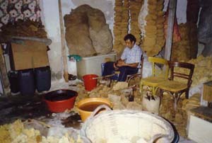 Kalymnos, the sponge seller (fascinating)